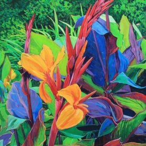 Canna Lilly