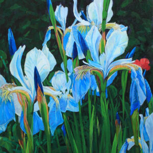 Blue Iris