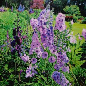 Delphiniums