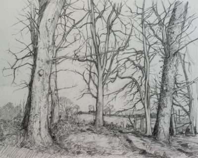 Drawing and Painting Classes