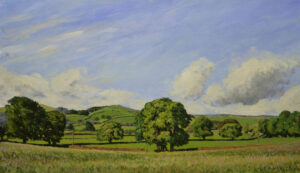 Bolton Abbey Landscape