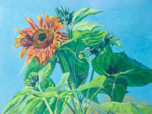 Sun Flowers - oil