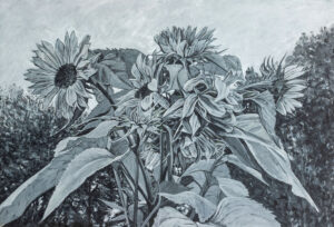 Sun Flowers, Gouache
