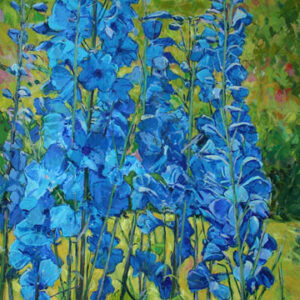 Blue Delphinium