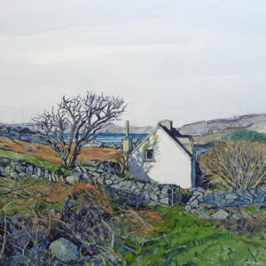 Cod Head South West Ireland