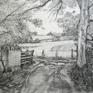 Farmers Track Bolton Abbey