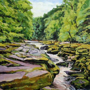 The Strid Wharefdale